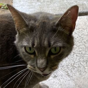 Meet your Posher, Diane